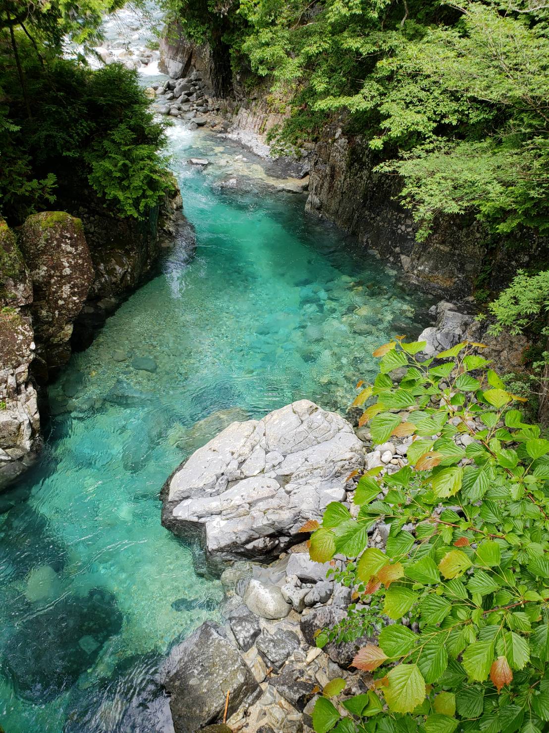 長野県の超おすすめのきれいな川 阿寺渓谷 周辺情報と注意点も
